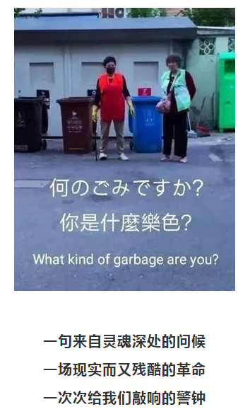 你被“垃圾分類”洗腦了嗎?揭秘強(qiáng)制分類背后的驚天秘密!- 你被“垃圾分類”洗腦了嗎?揭秘強(qiáng)制分類背后的驚天秘密!-