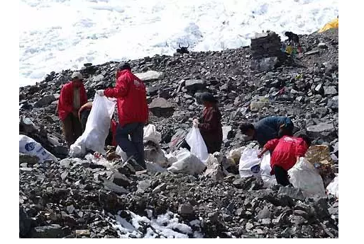 你被“垃圾分類”洗腦了嗎?揭秘強(qiáng)制分類背后的驚天秘密!- 你被“垃圾分類”洗腦了嗎?揭秘強(qiáng)制分類背后的驚天秘密!-