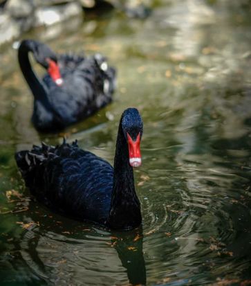 被評為“上海名牌”產品，這家企業究竟為民族閥門工業盡了多少力量？-