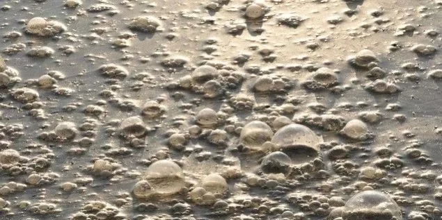 污水廠內的生物氣溶膠怎么產生,污水從業人員如何做好防護?- 污水廠內的生物氣溶膠怎么產生,污水從業人員如何做好防護?-