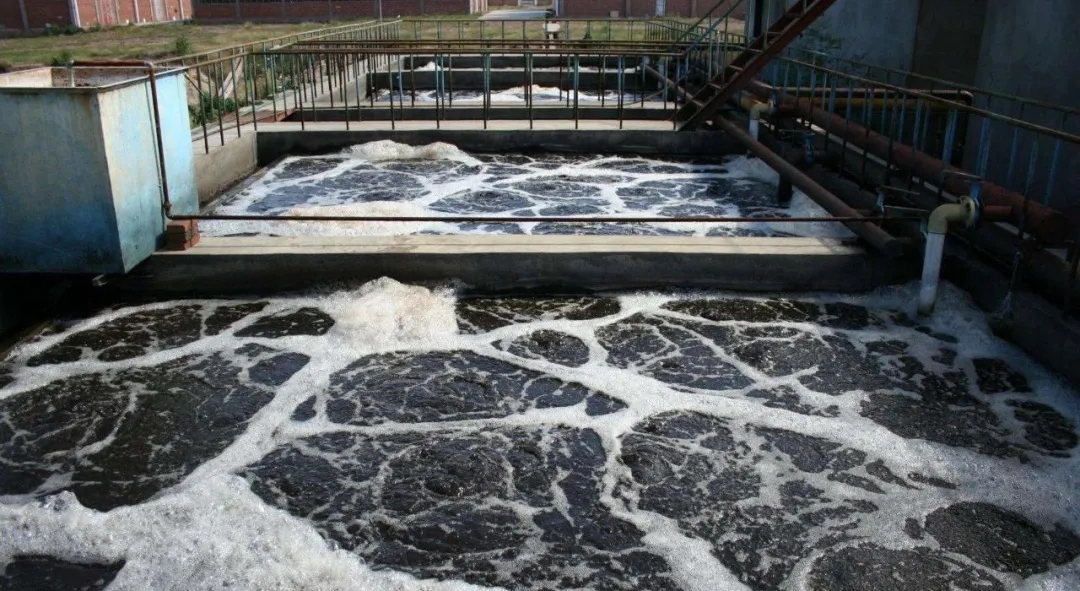 住建部：如何應(yīng)對新冠病毒從馬桶到水環(huán)境的潛在傳輸途徑？