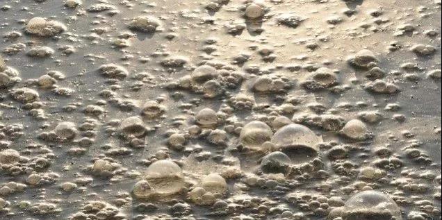 污水廠內(nèi)的生物氣溶膠，污水從業(yè)人員必讀-