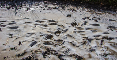 流體展|換季污泥膨脹，怎么辦？